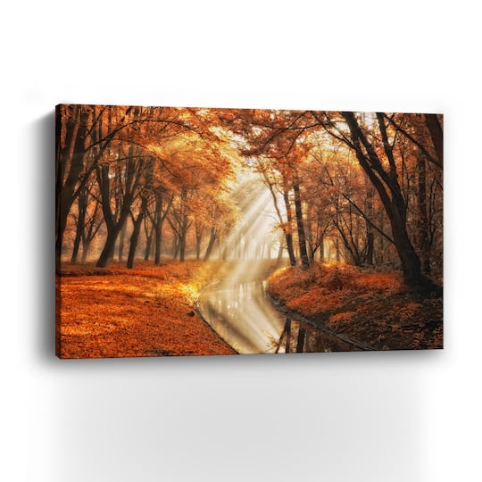 Little Black Duck Canvas Giclee